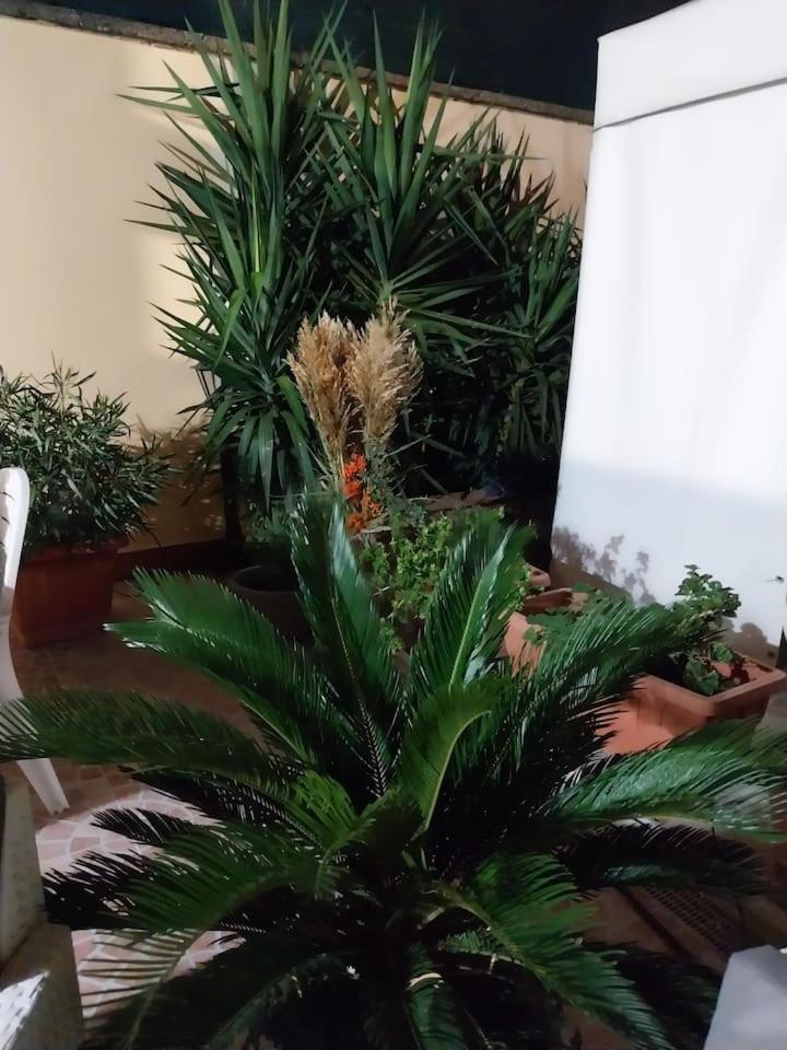 Il Giardino Di Marimar Lägenhet Exteriör bild